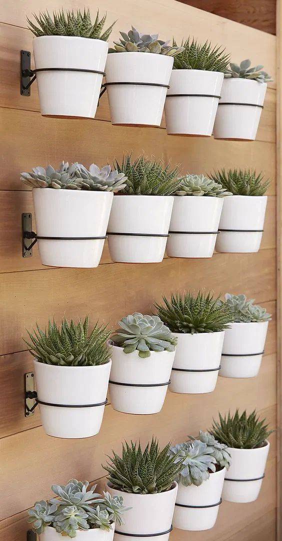 Wall Planters