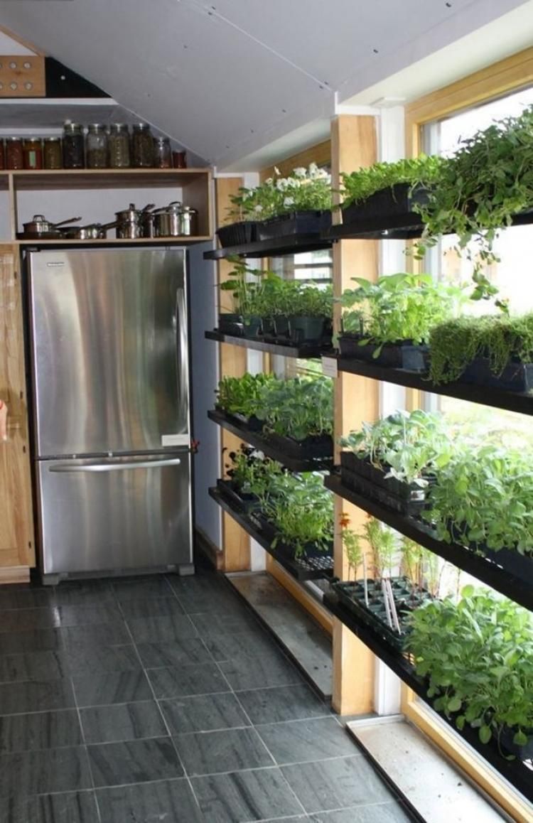 Easy Indoor Herb Garden Ideas