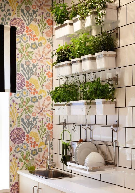 Indoor Kitchen Garden Ideas Herb Garden