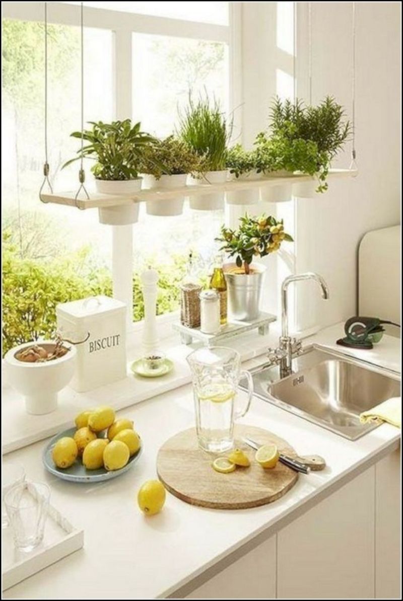 Great Indoor Herb Garden Ideas