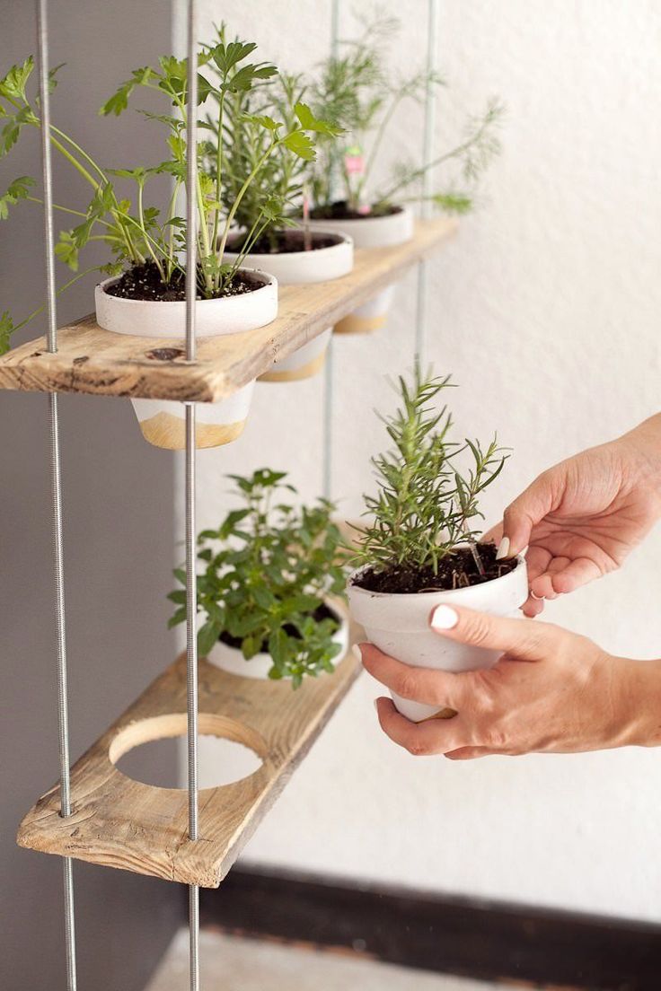 Indoor Herbs Garden Ideas Pretend Magazine