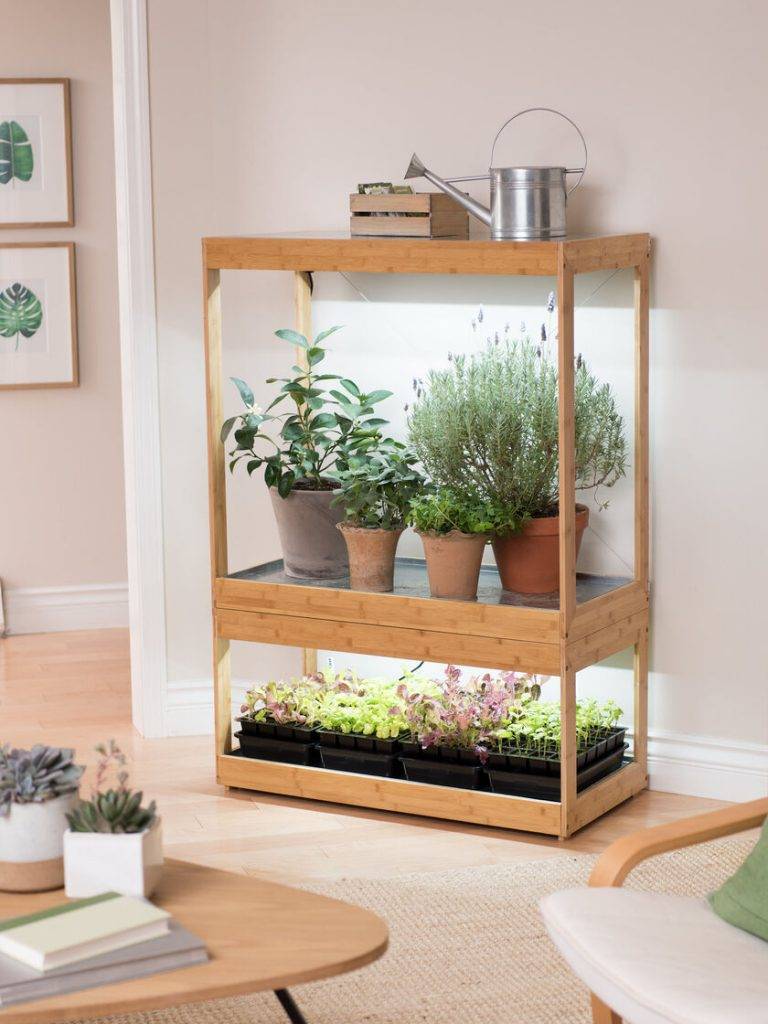 Diy Indoor Herb Garden Ideas And Planters Theyre Easy So Cute