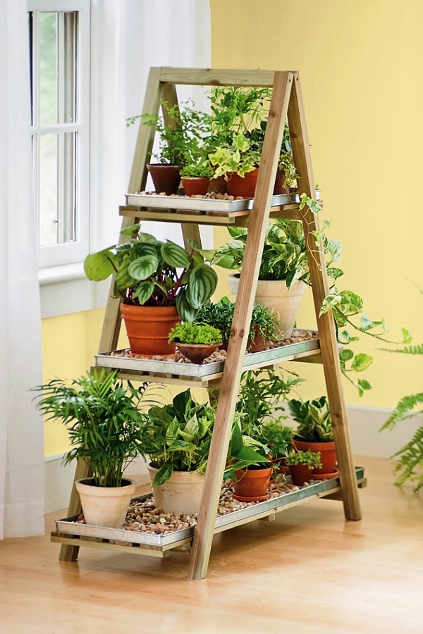 Mini Indoor Garden Ideas