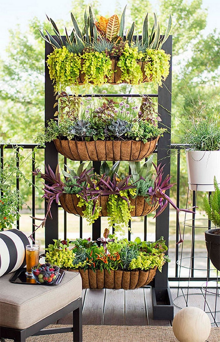 Astonishing Indoor Garden Ideas
