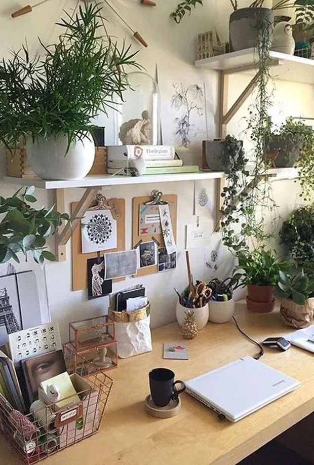 An Indoor Garden Room