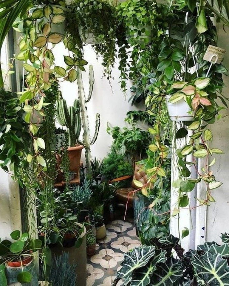 18 Indoor Home Garden Ideas You Must Look SharonSable