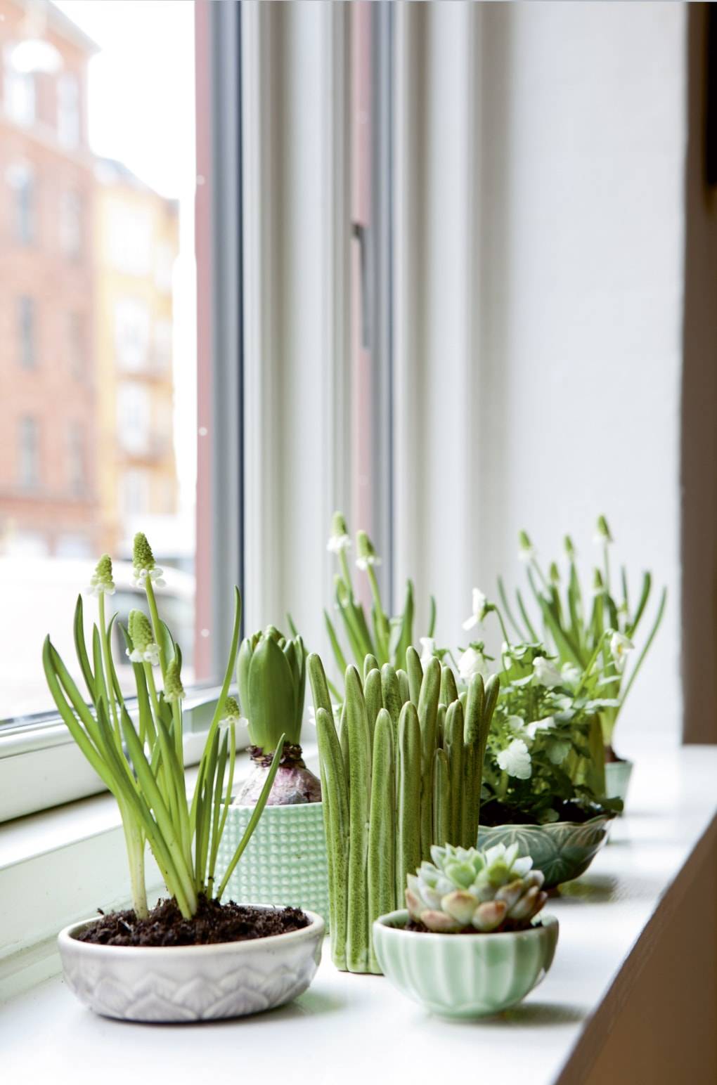Wonderful Mini Indoor Gardening Ideas