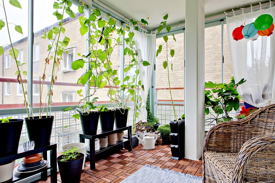 Creative Indoor Garden Ideas