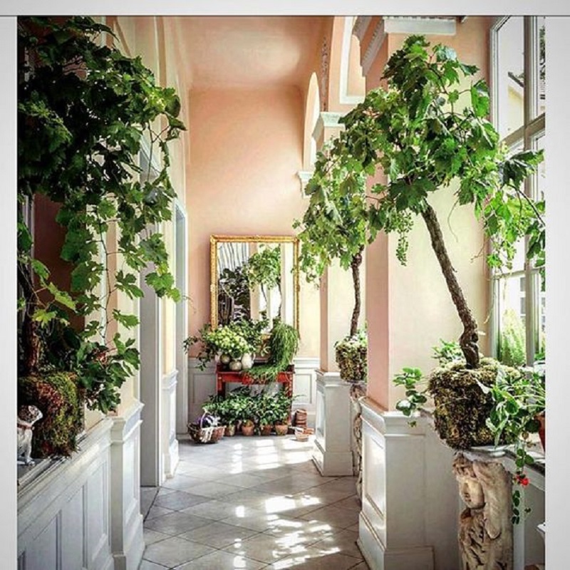 Beautiful And Small Indoor Gardens Decor Inspirator