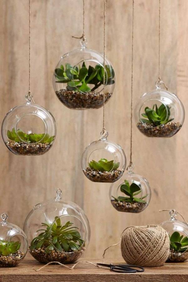 Creative Indoor Garden Ideas