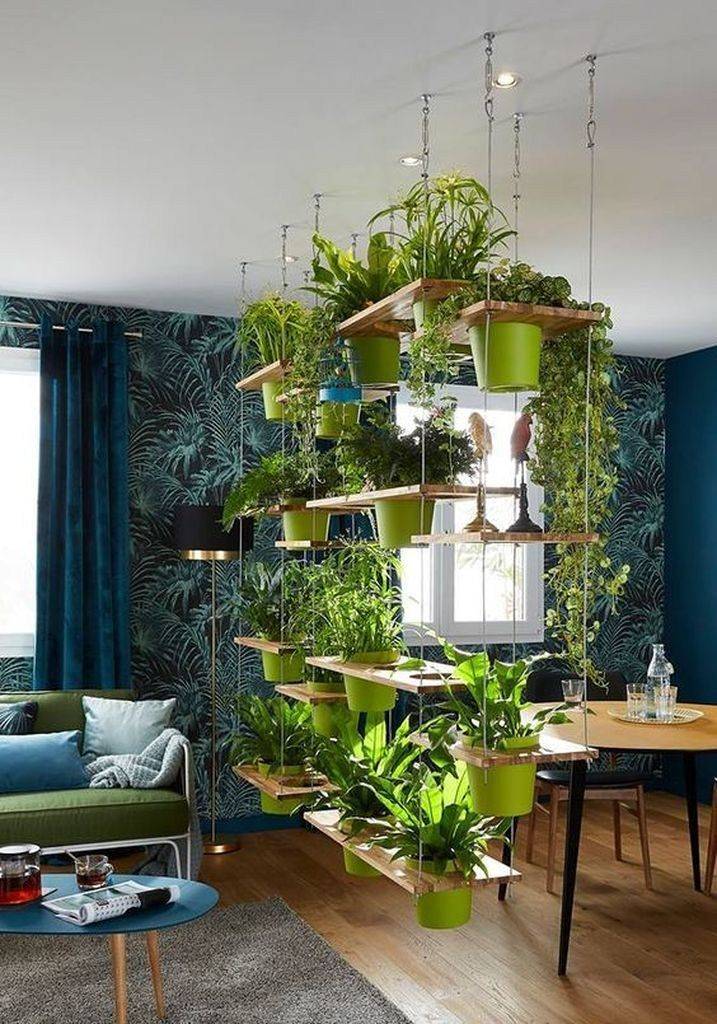 Indoor Garden