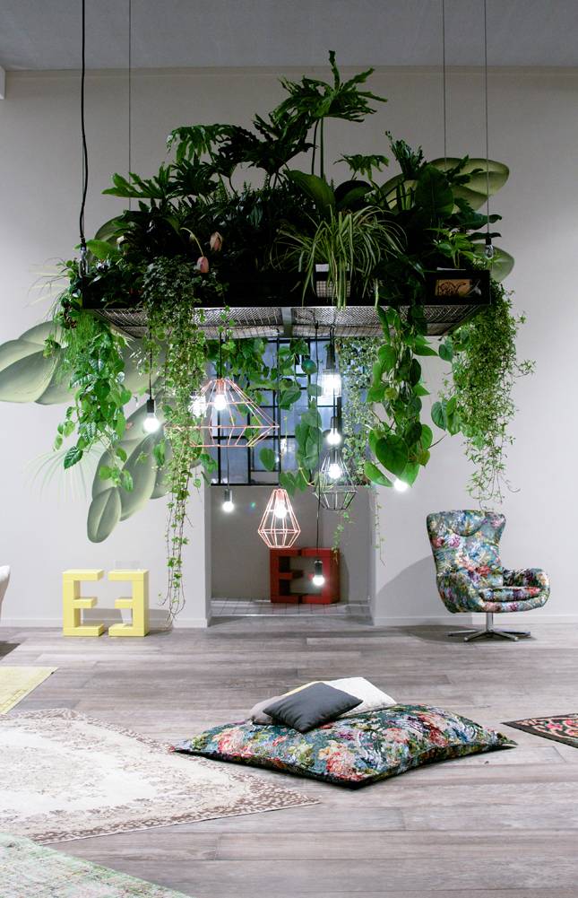 Cool Plant Stand Design Ideas