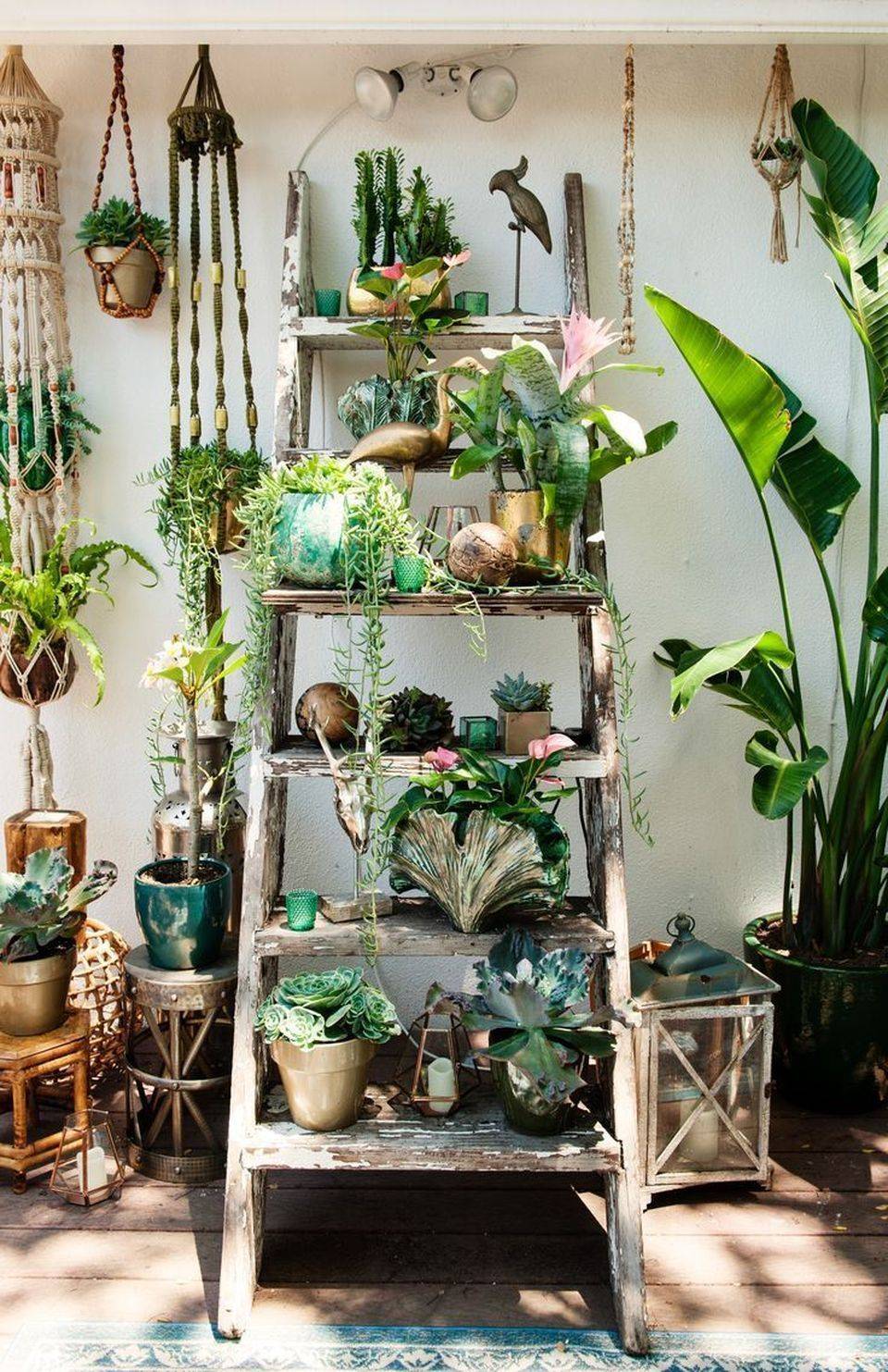 Indoor Garden Ideas