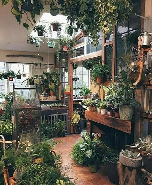 Creative Indoor Garden Ideas