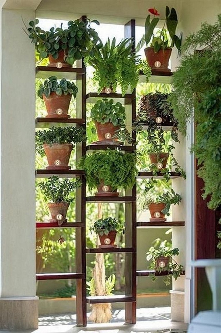 An Interior Garden
