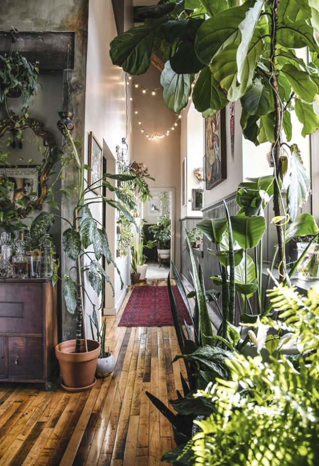 Decor Indoor Garden Room