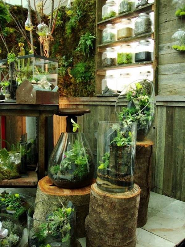 Most Creative Indoor Garden Ideas