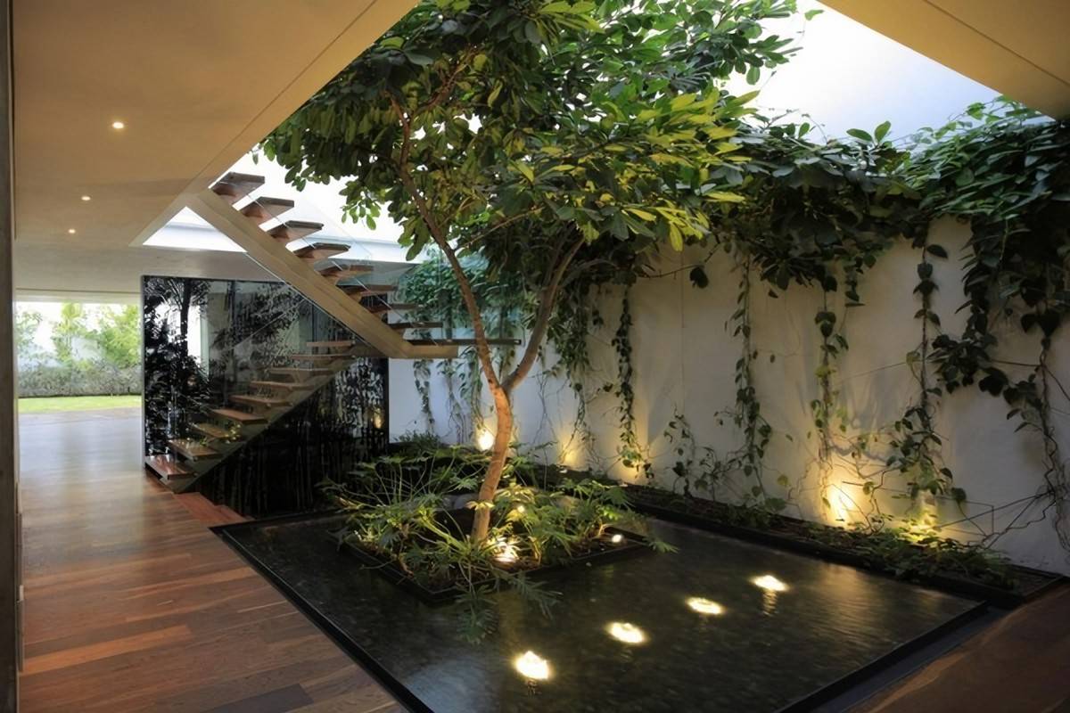 Modern Indoor Garden Ideas