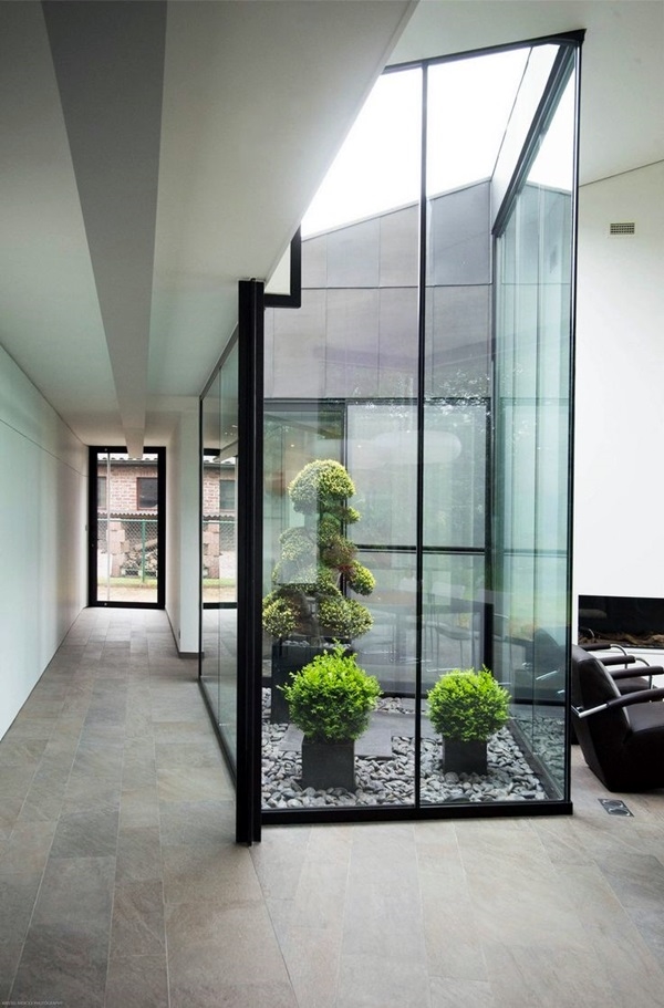 Modern Indoor Garden Ideas