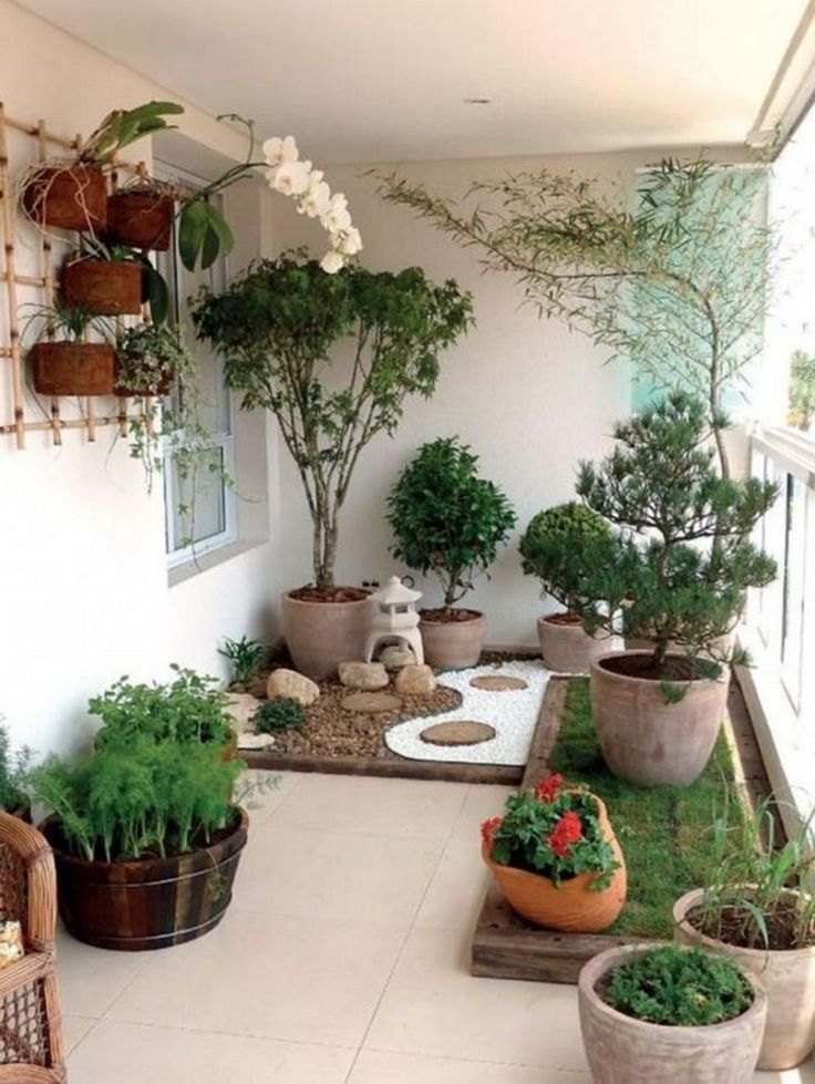 Amazing Indoor Garden Designs