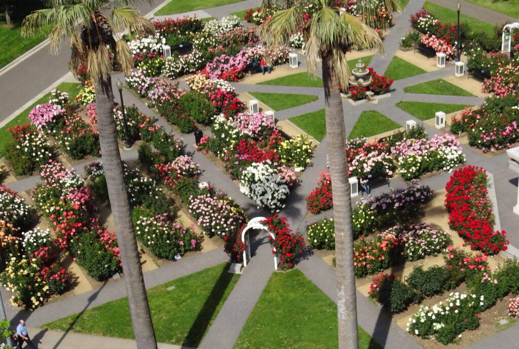 International World Peace Rose Gardens