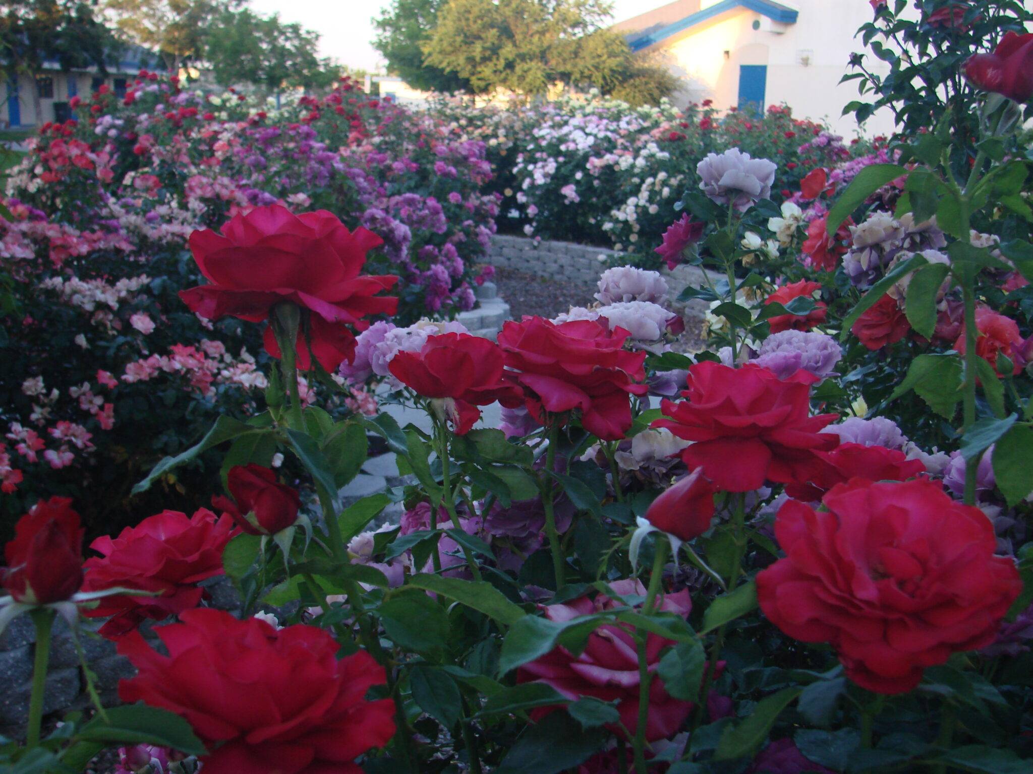 Beautiful Flower Arrangements