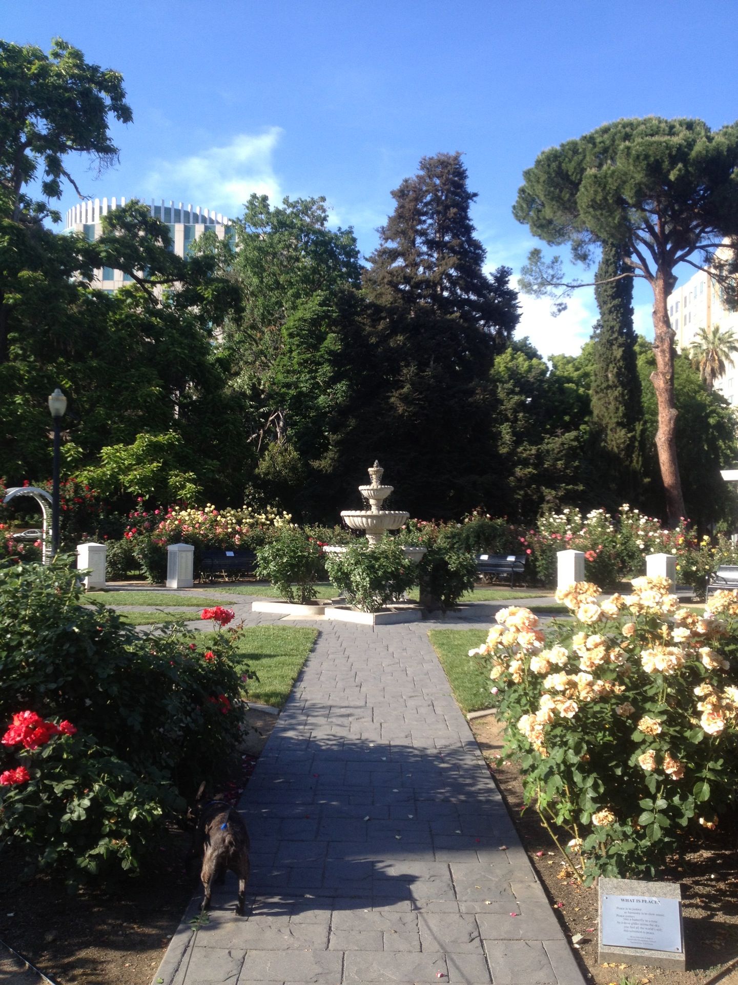 The World Peace Rose Garden