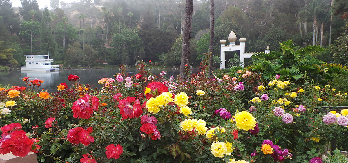 International World Peace Rose Garden Downtown Sacramento Tips