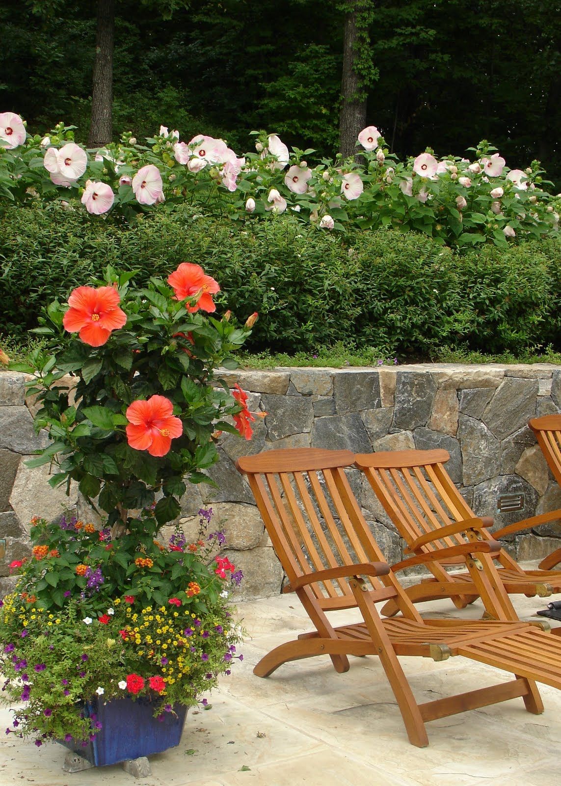 Northern California Features