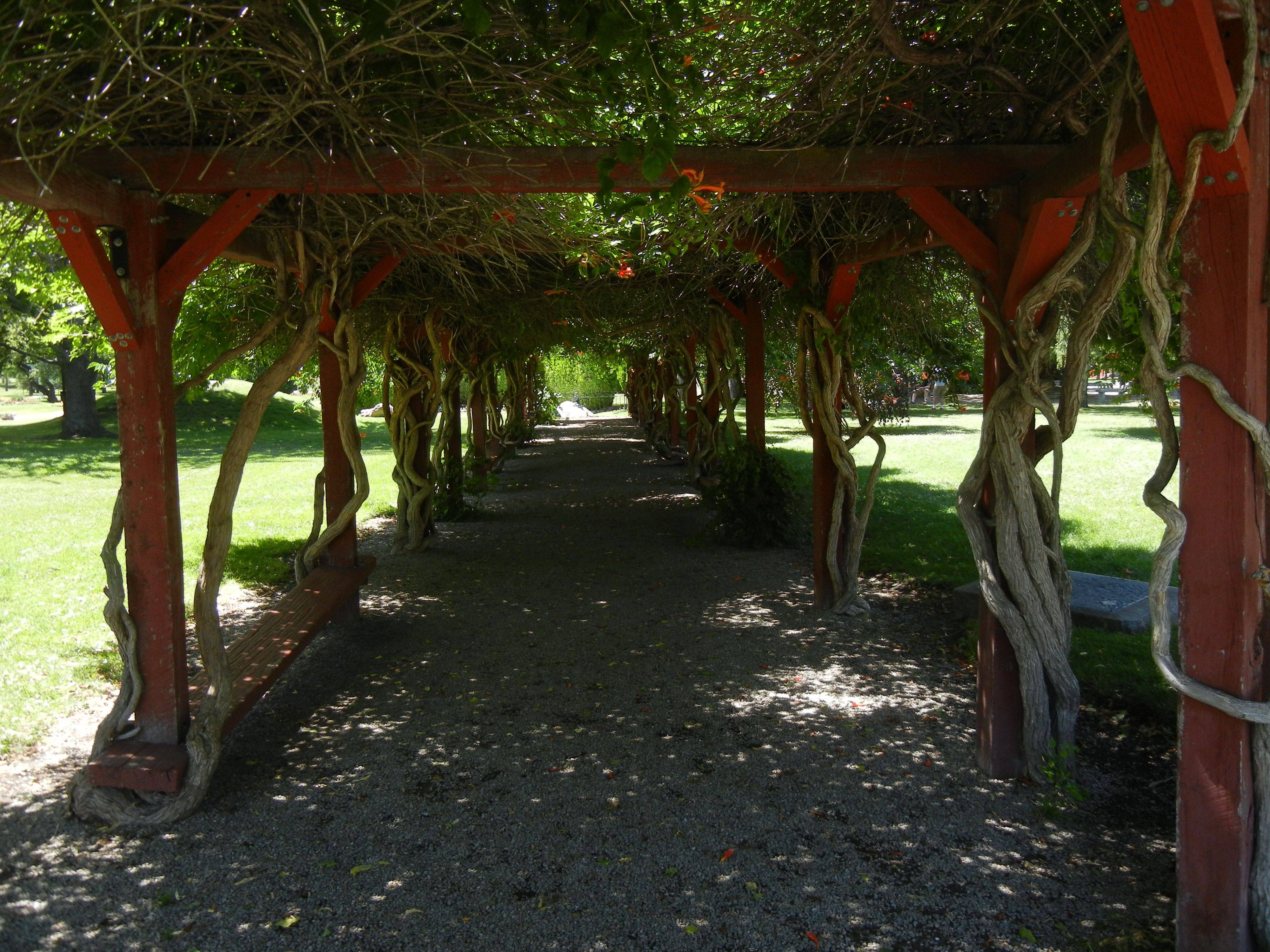 International Peace Garden Ideas