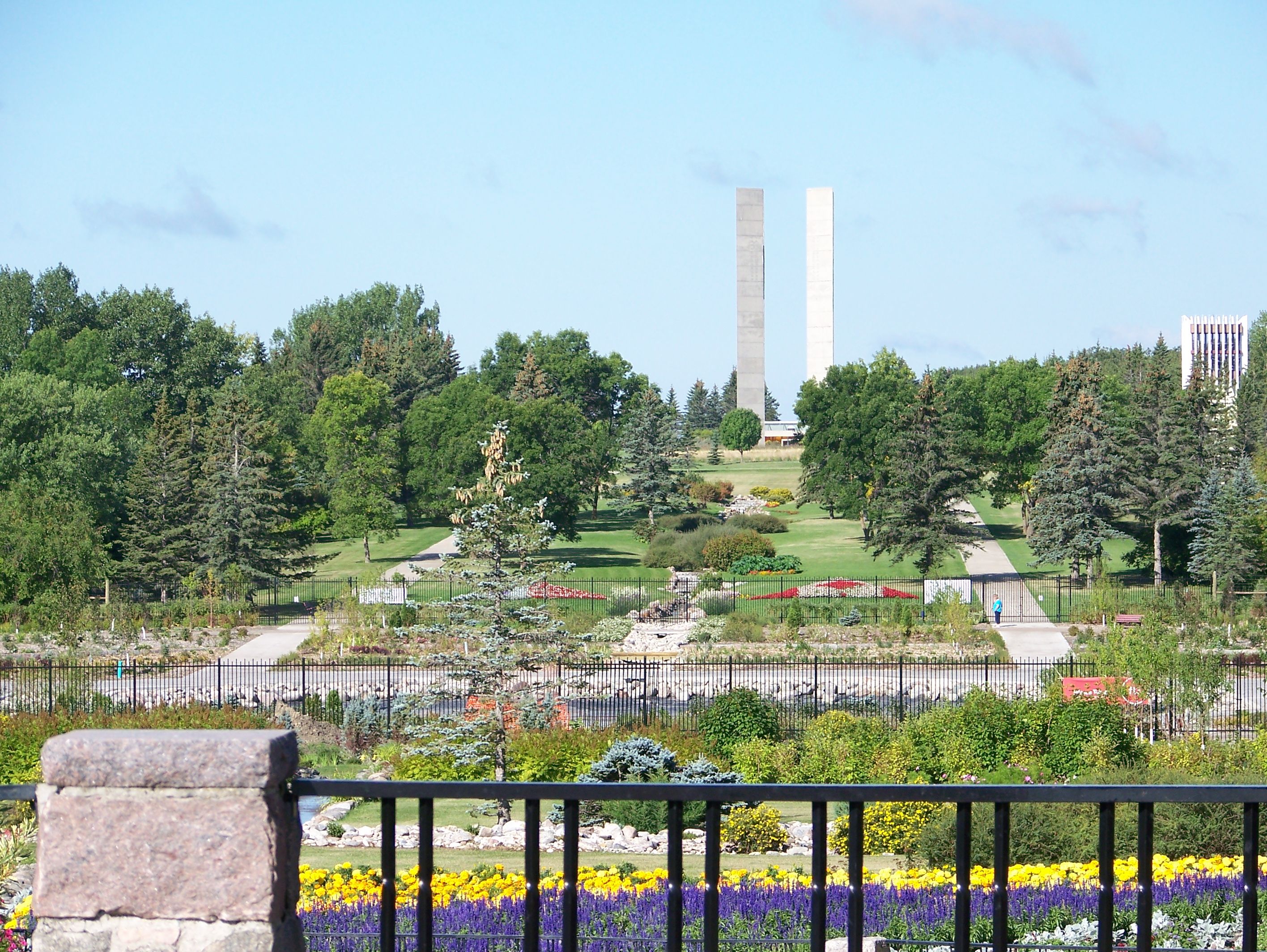 Sacramento World Peace Rose Garden New House New Home Peace Rose