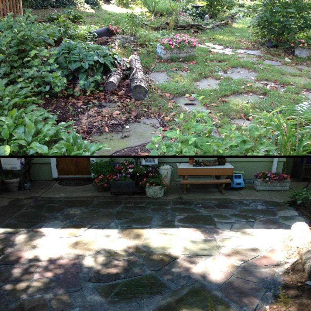 A Small Front Garden