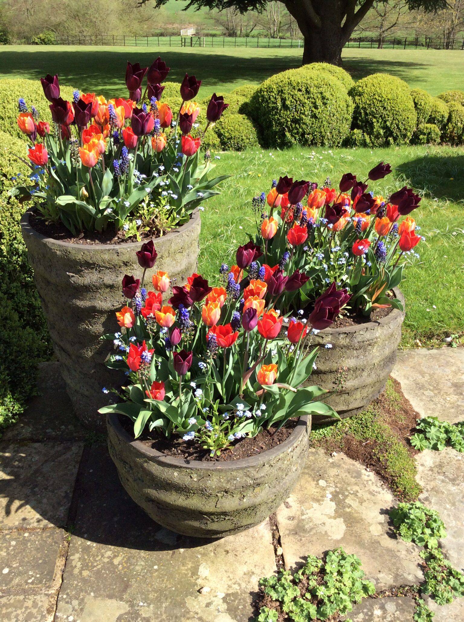 Outdoor Decor