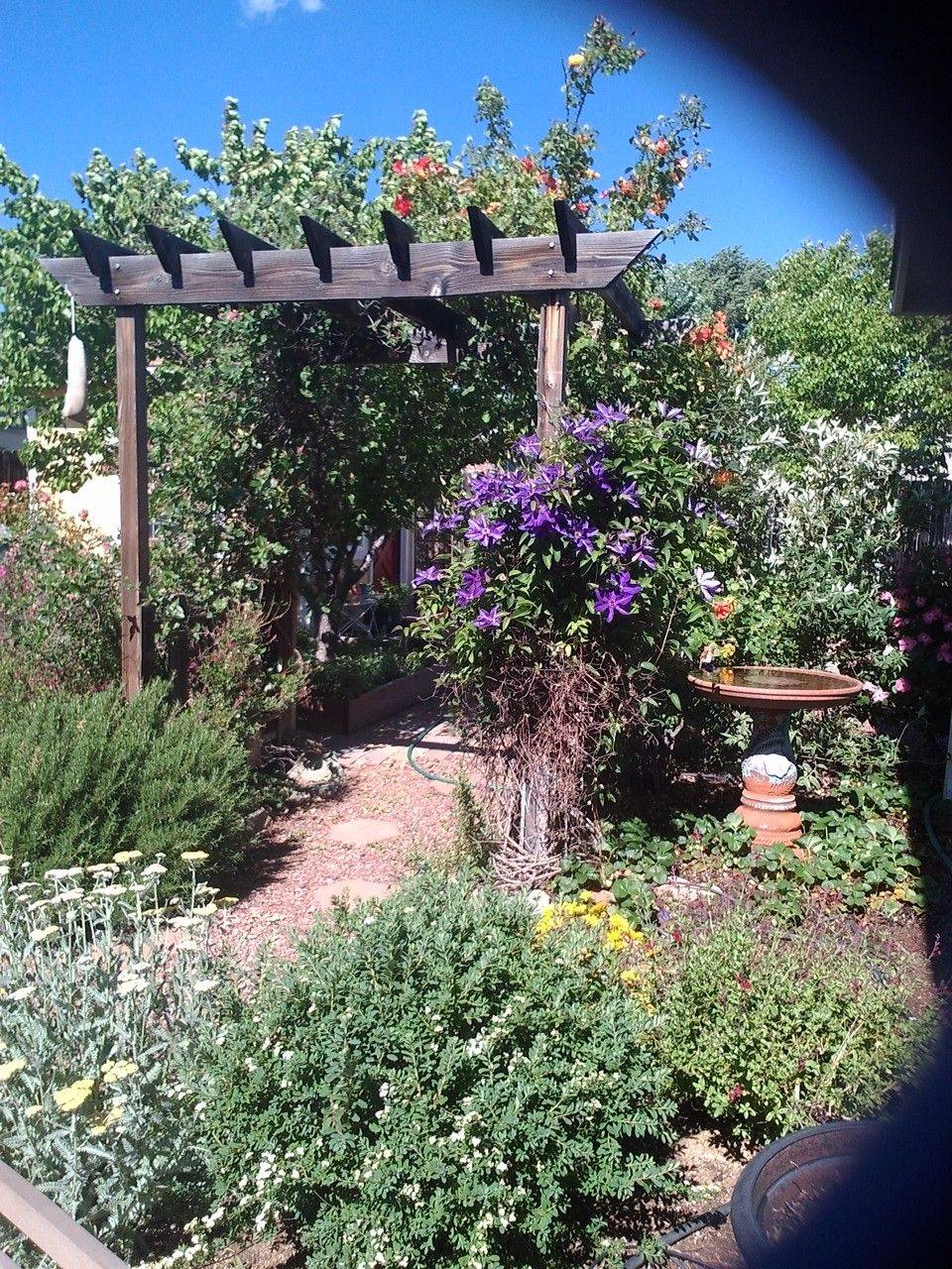 Colorful Porch Cottage Garden