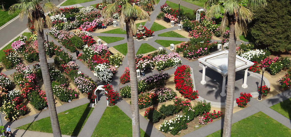 International World Peace Rose Gardens