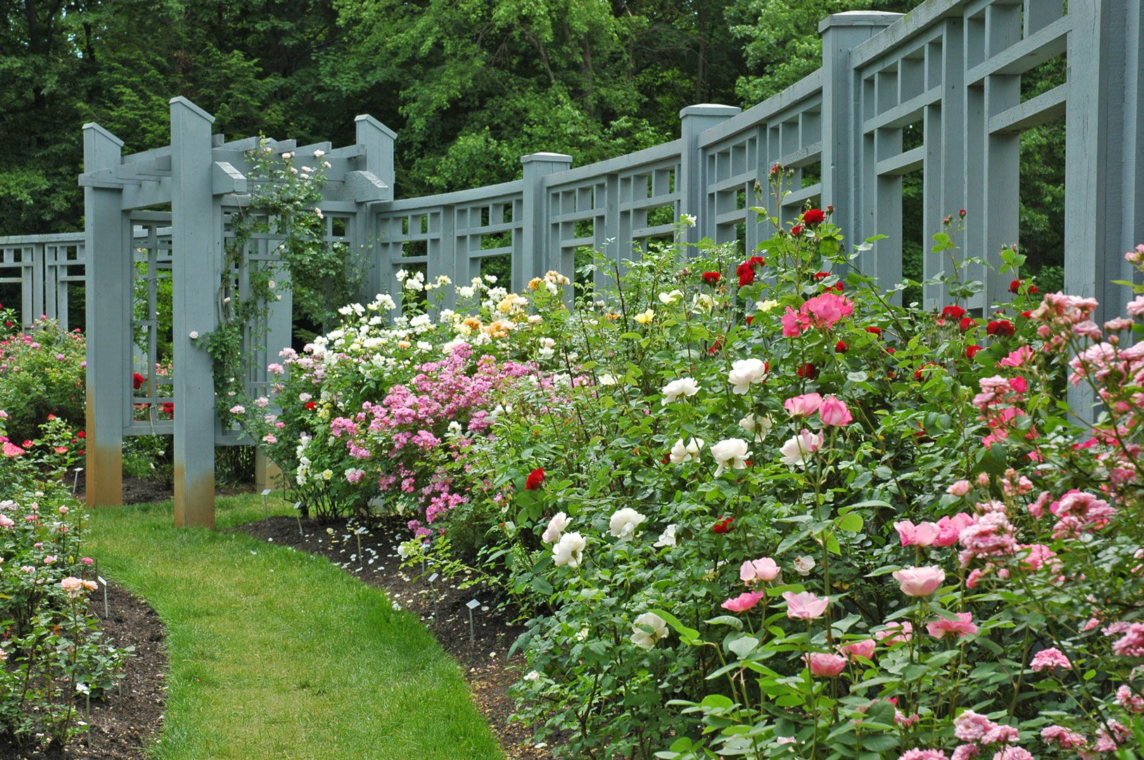 International Rose Test Garden