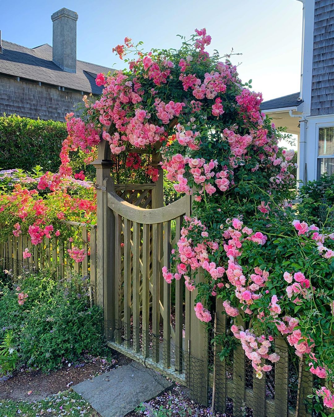 International Rose Test Garden