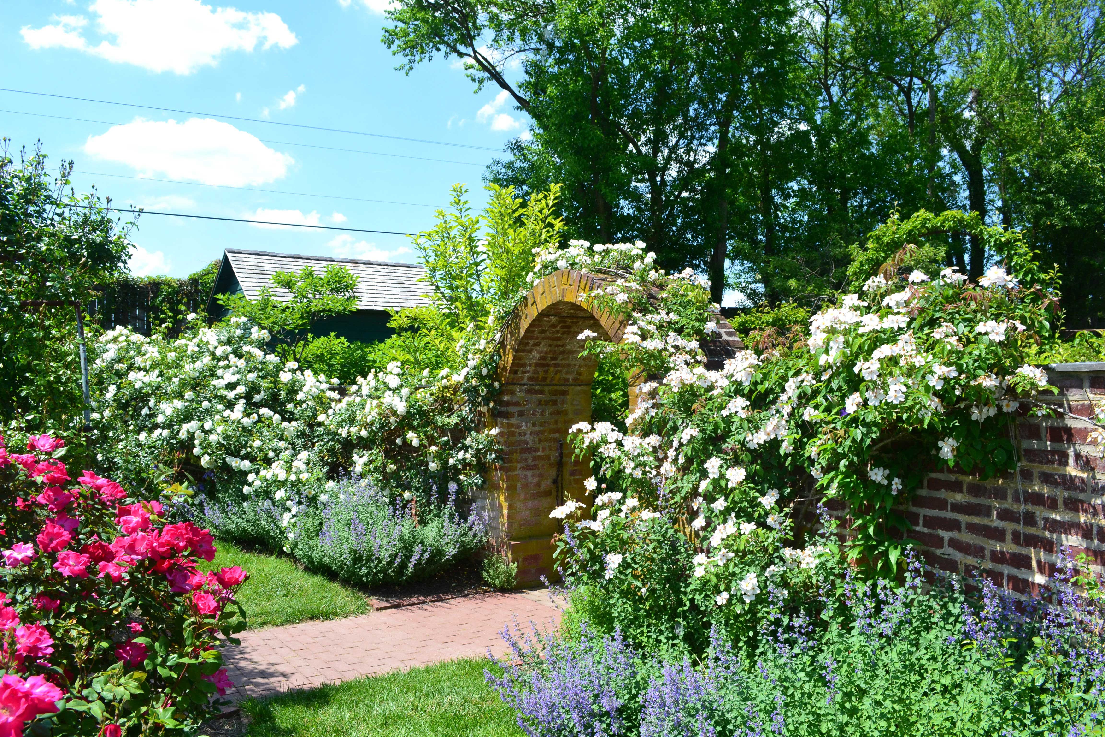 Rose Garden Path The Kelleher Rose Garden