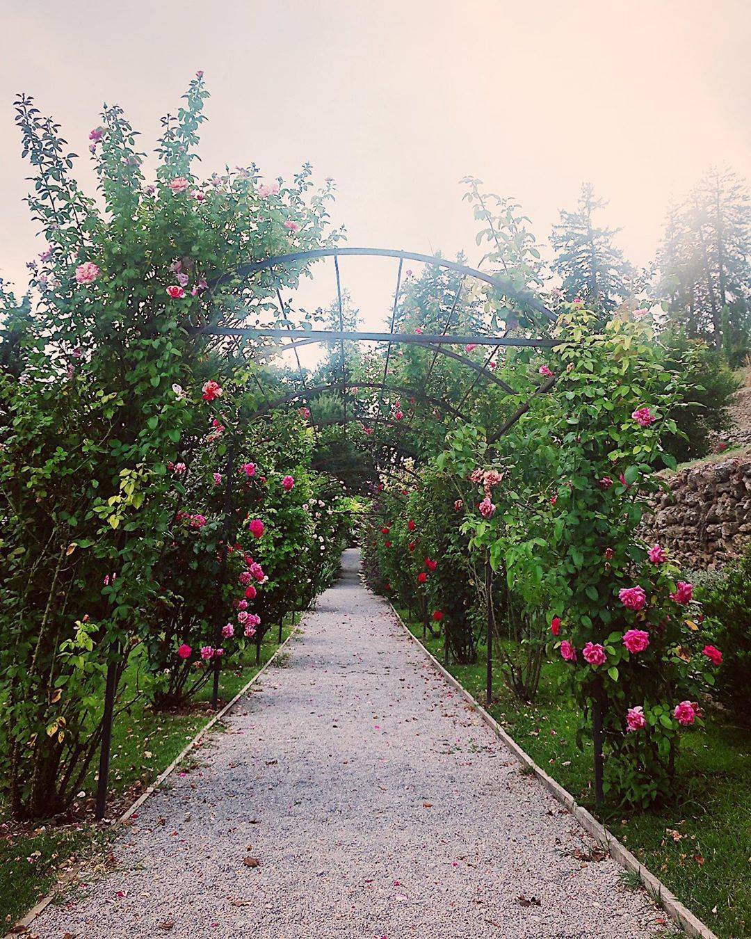 A Rose Garden Rose Garden Design