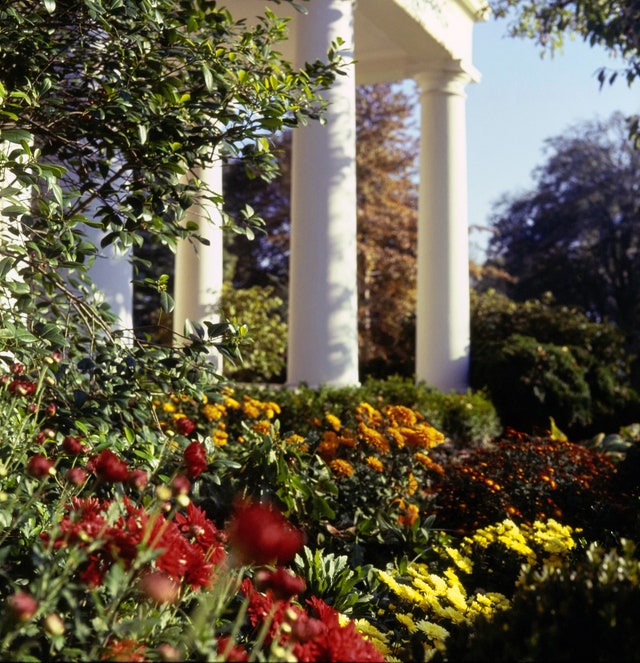 State Capitol Park World Peace Rose Garden Sacramento