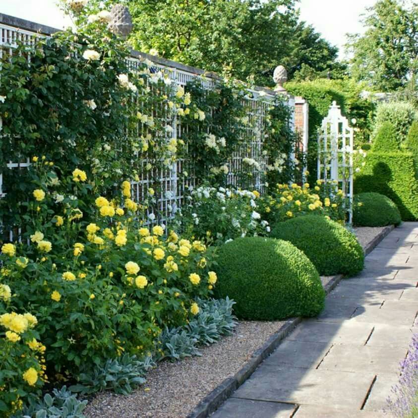Stunningcottagegardenwithclimbingrose Homemydesign