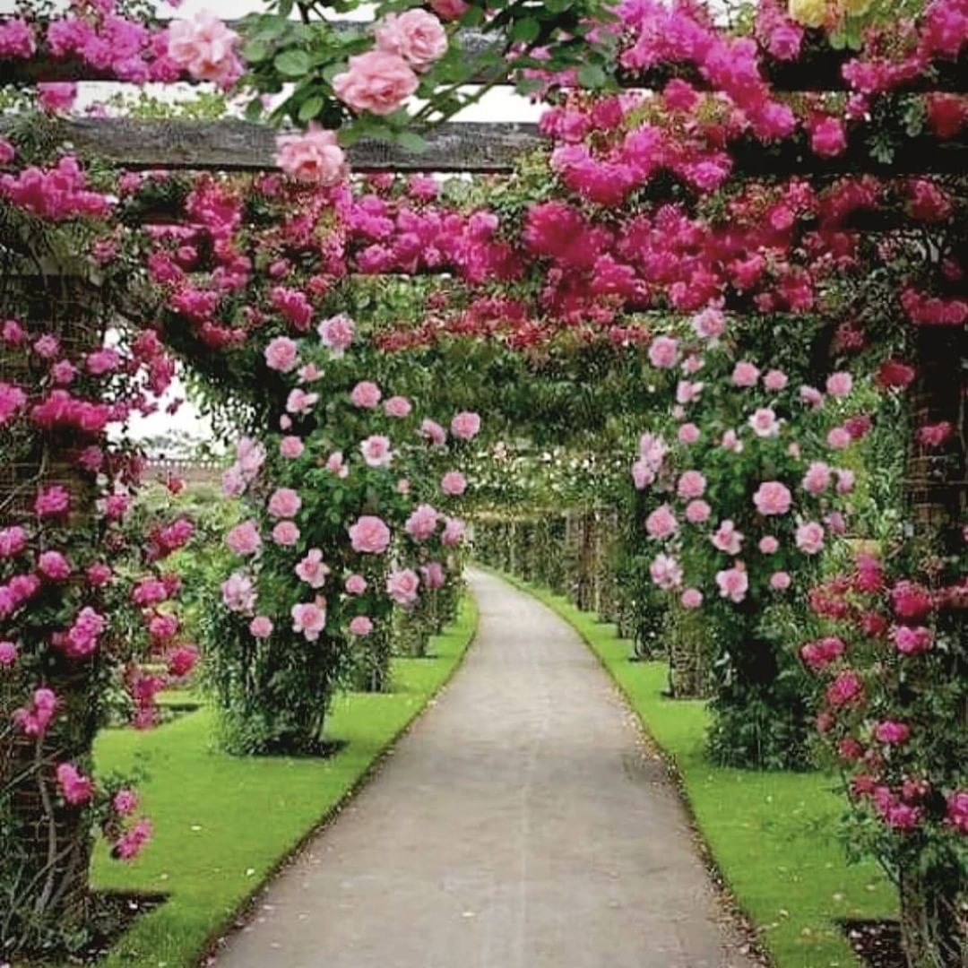 Fabulous Decorations