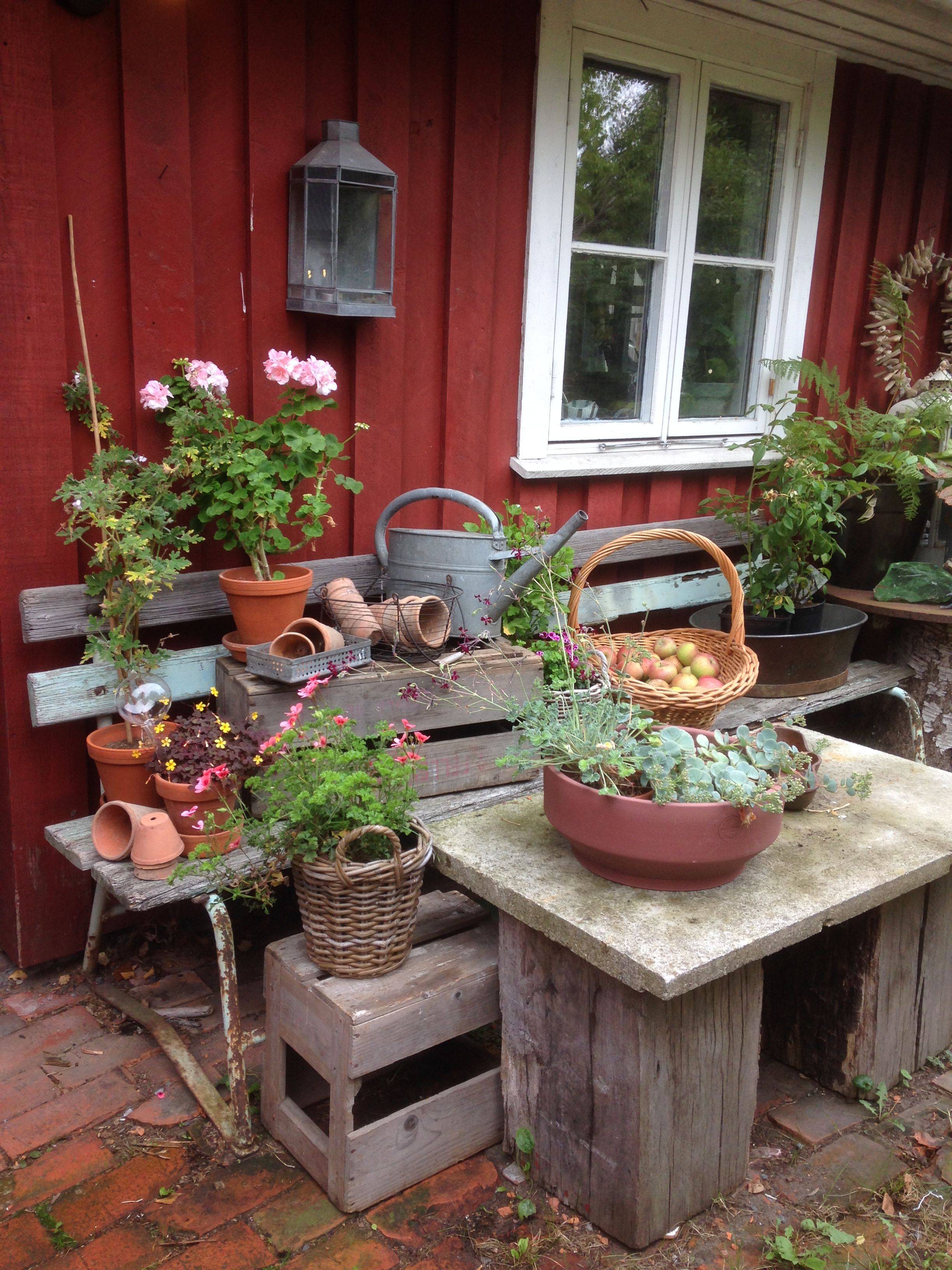Shabby Chic Rustic Old Windows Shabby Chic Wall