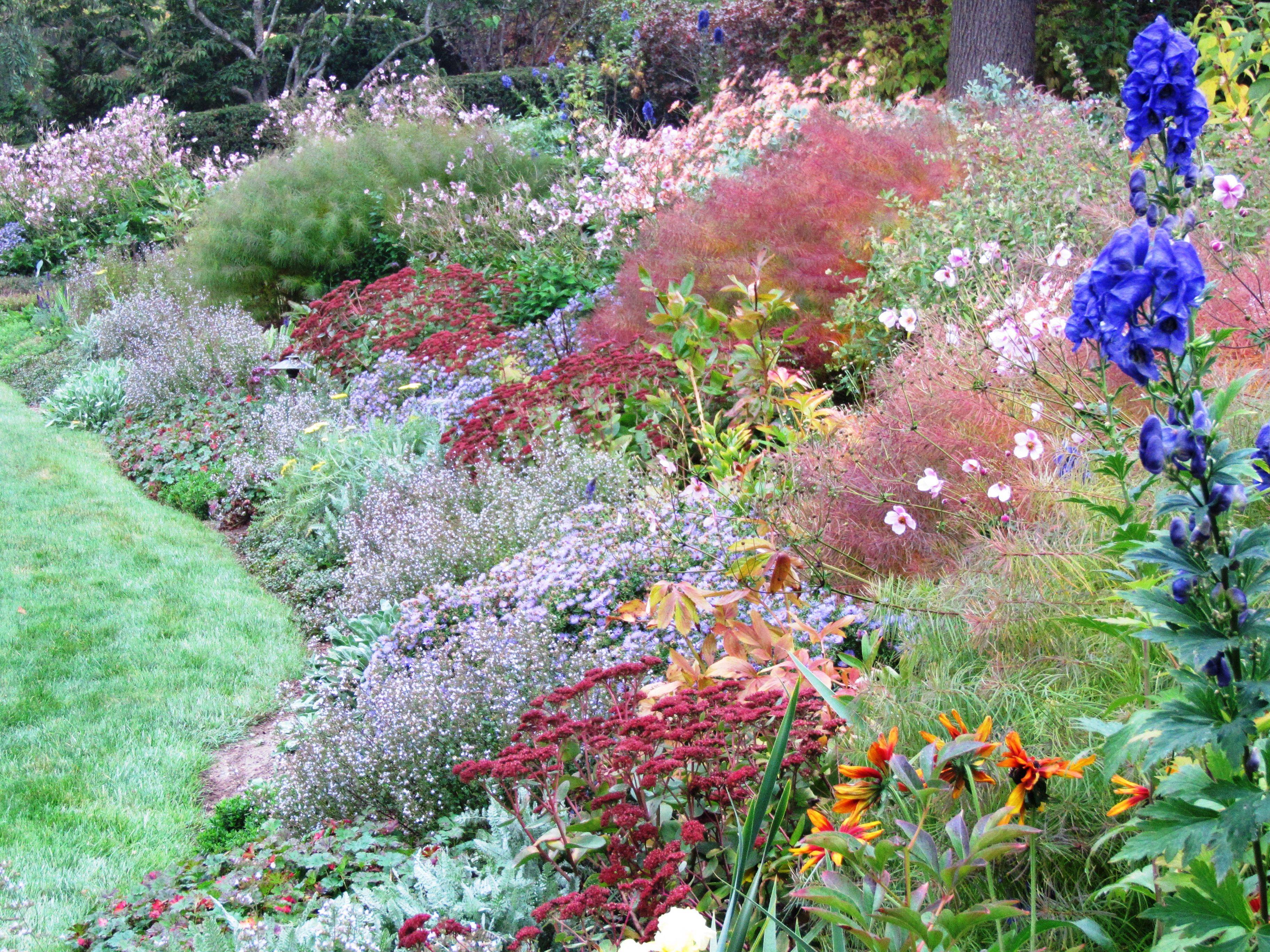 Border Garden Near Hedge Hedge Landscaping