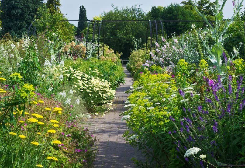 Fantastic Garden Path