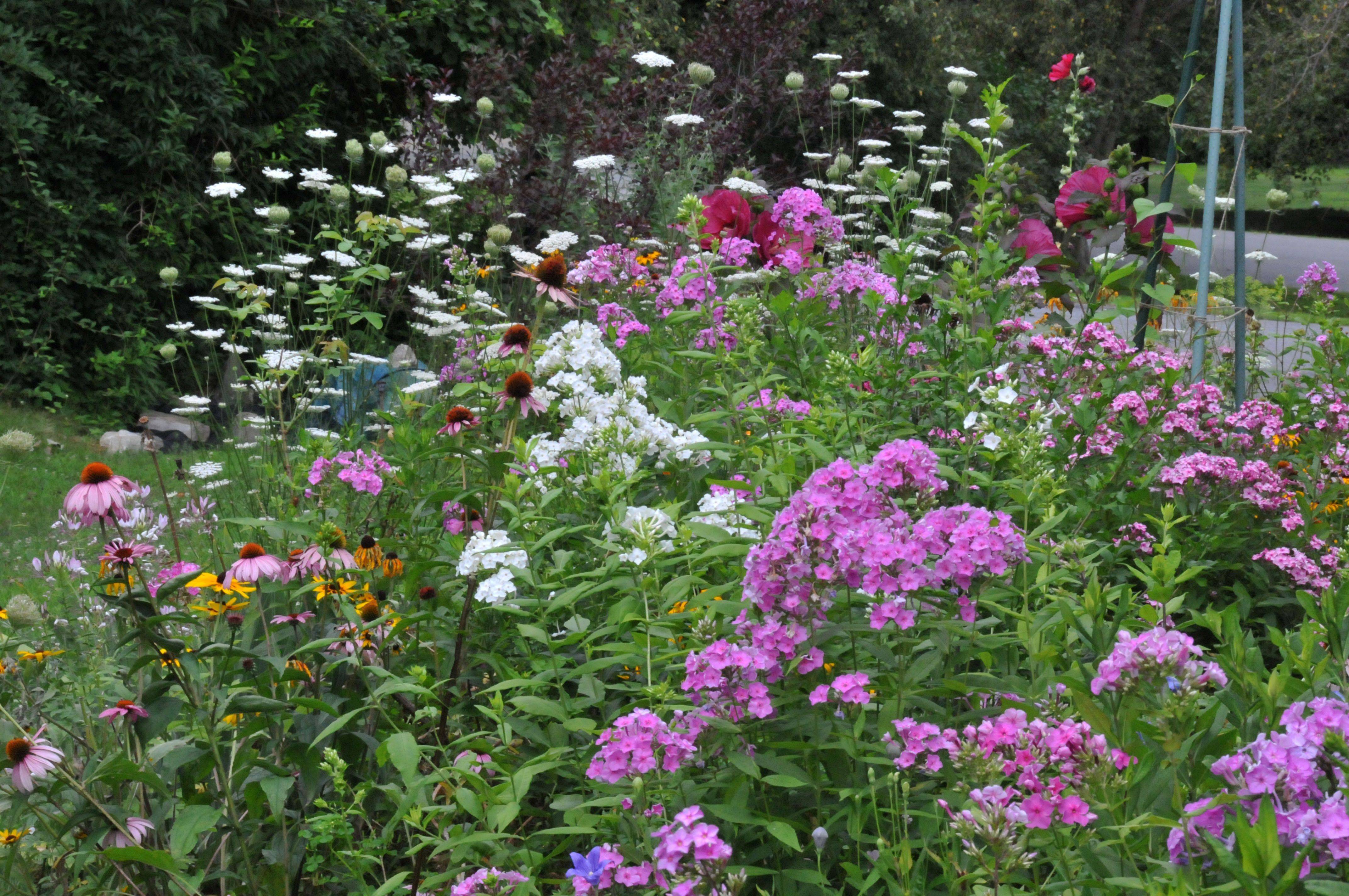 Lovely Small Flower Gardens