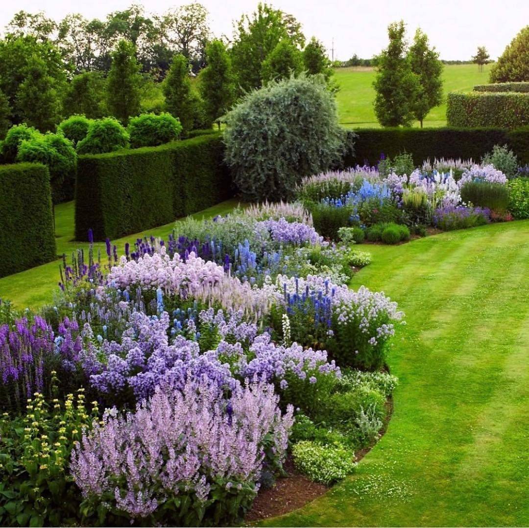 Colorful Plants English Garden Pat