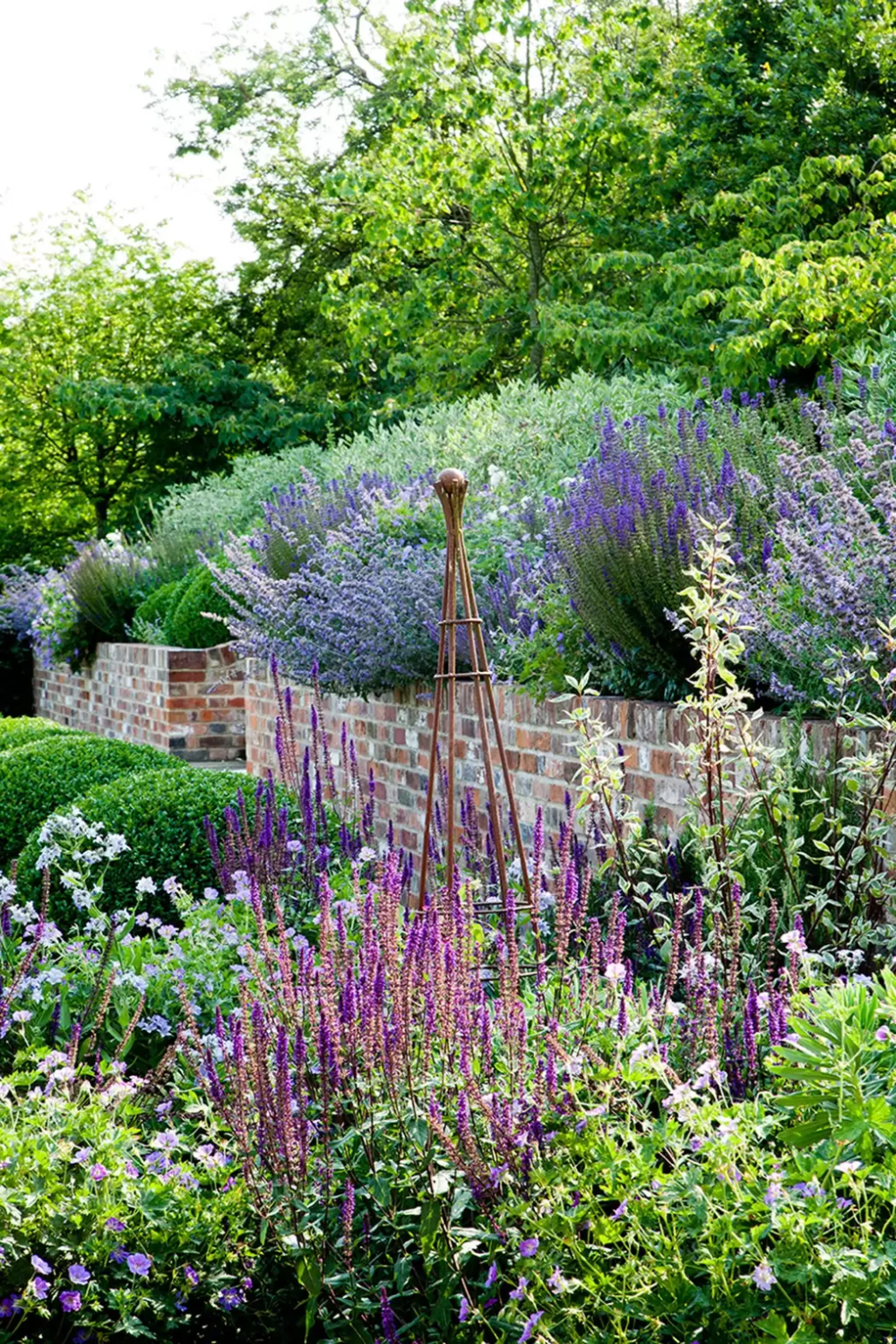 Drought Tolerant Flowers