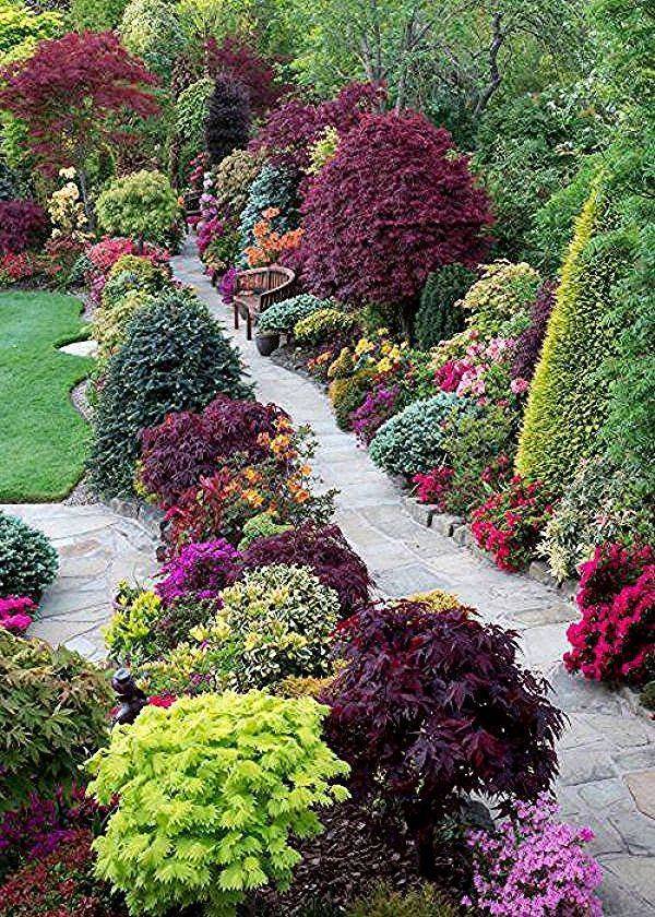 Garden Border Planting Ideas