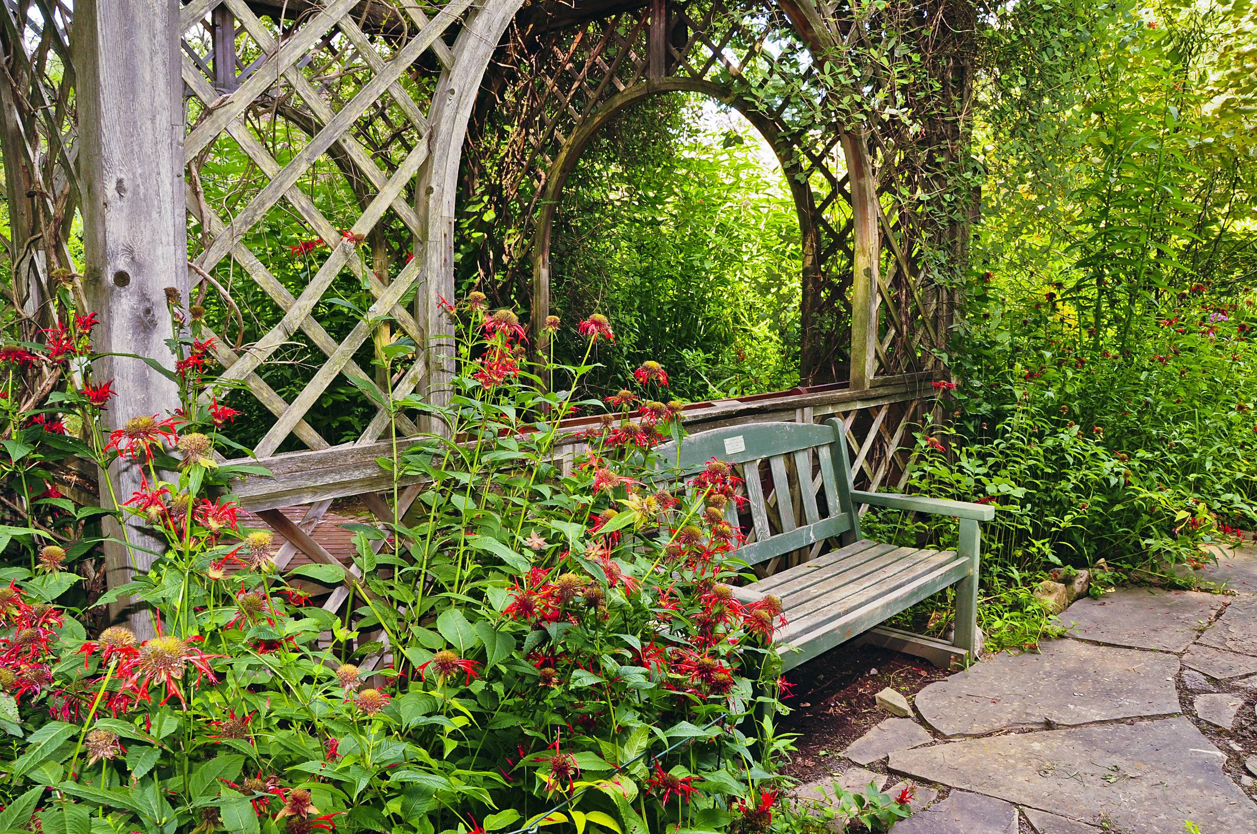 Diy Romantic Backyard Garden Ideas